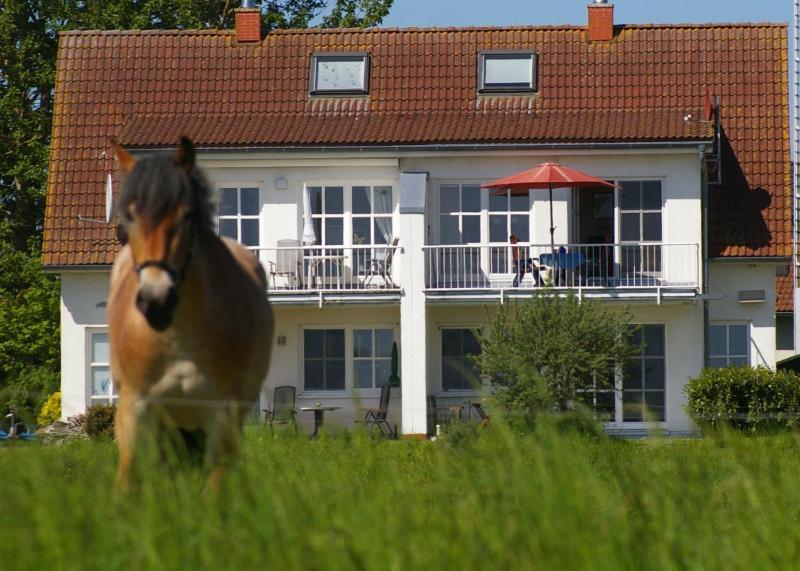 Ferienwohnung Boddenblick Zudar Buitenkant foto