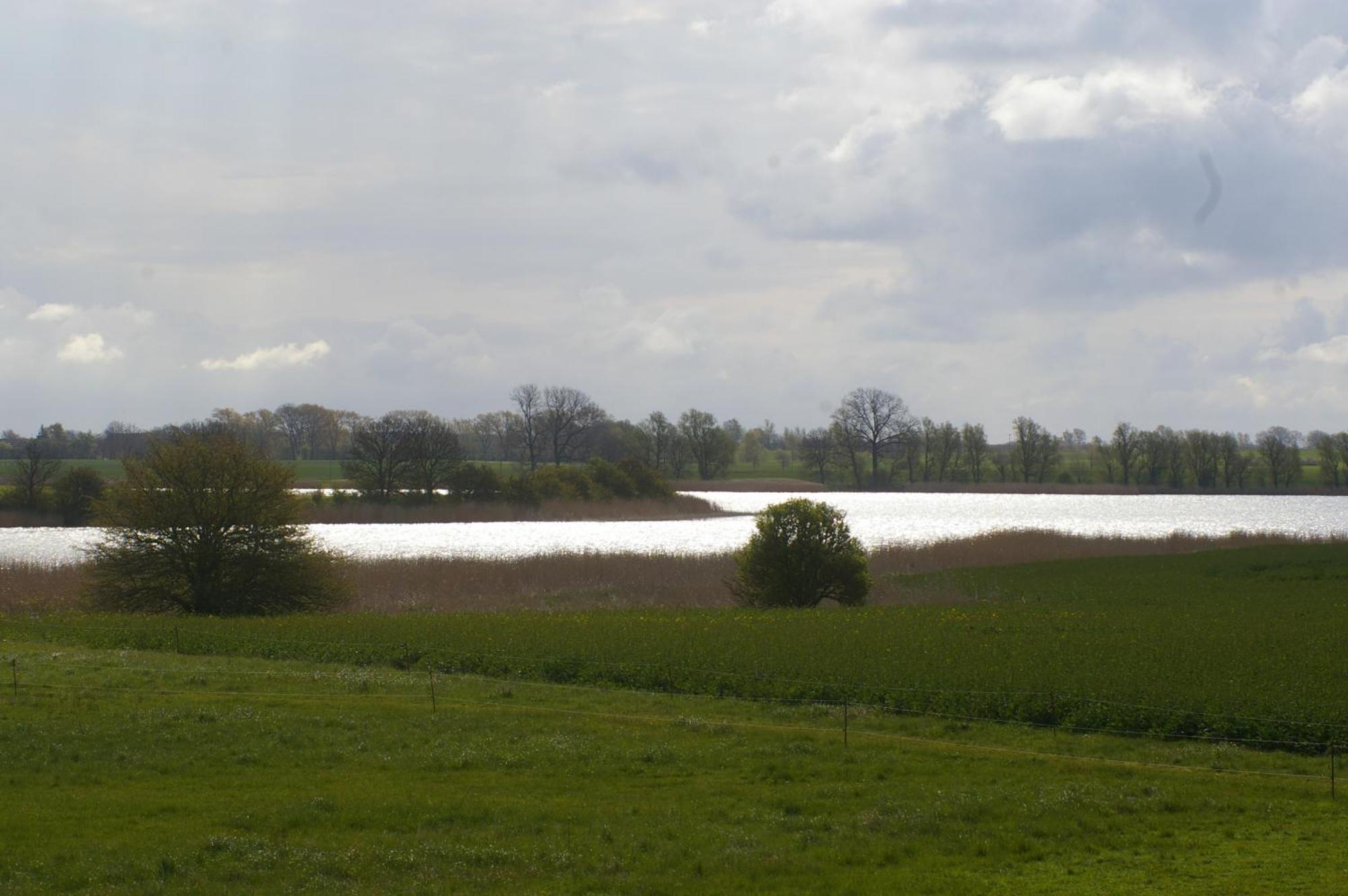 Ferienwohnung Boddenblick Zudar Buitenkant foto